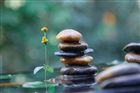 Maison Harmonie, Bien-être & relaxant à domicile ou en institut